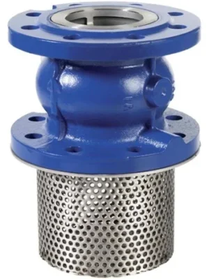 Industrial foot valve with strainer for pump suction and backflow prevention